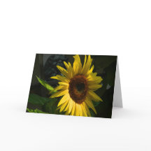 Tarjeta de felicitación Sunflower Blank