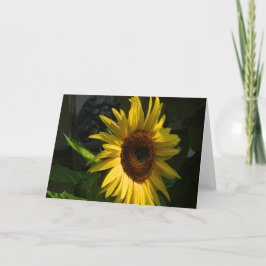 Tarjeta de felicitación Sunflower Blank