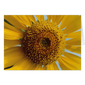 Tarjeta de felicitación Sunny Giant Yellow Sunflow