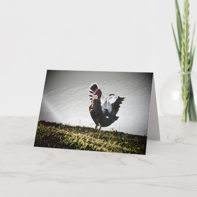 Tarjeta de felicitación Super Muscovy Duck (Anverso)