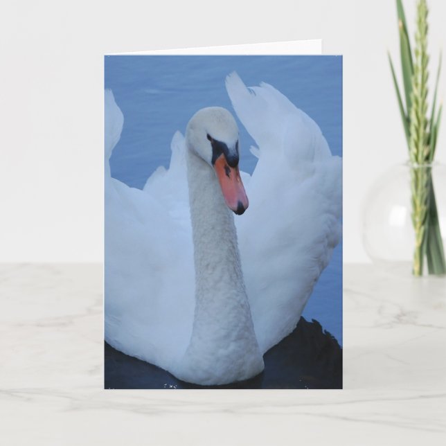 Tarjeta de felicitación Swan (Anverso)