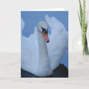 Tarjeta de felicitación Swan