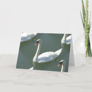 Tarjeta de felicitación - Swans en color