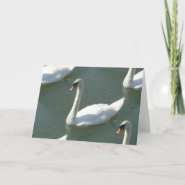 Tarjeta de felicitación - Swans en color