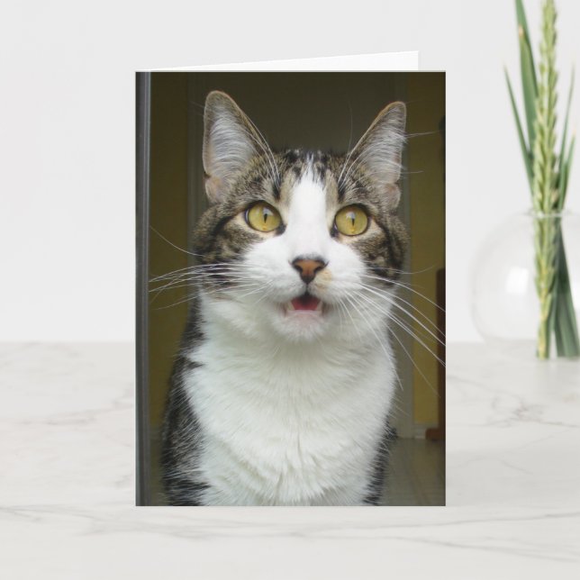 Tarjeta de felicitación Syrus Shocked 0001 (Anverso)