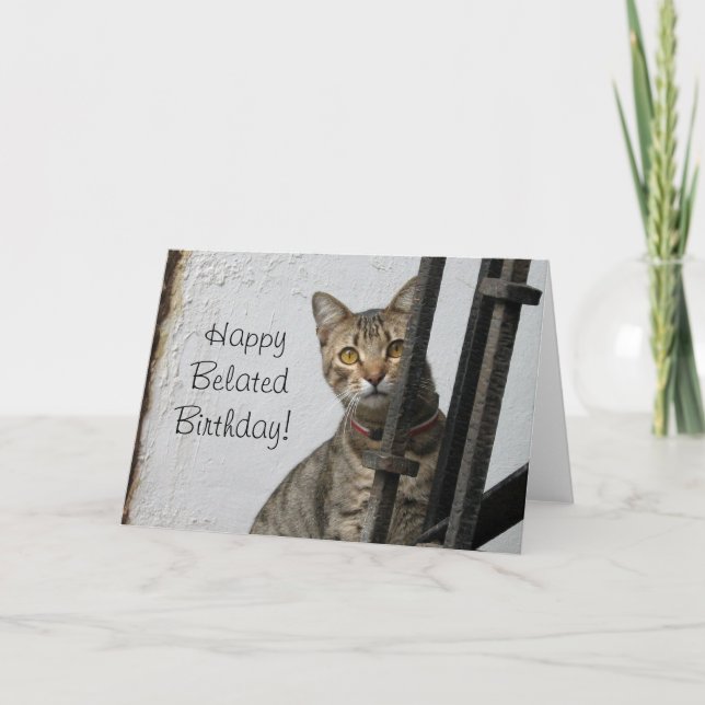 Tarjeta de felicitación tardía feliz del gato de (Anverso)