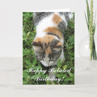 Tarjeta de felicitación tardía feliz del gato de