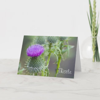 Tarjeta de felicitación Thistle