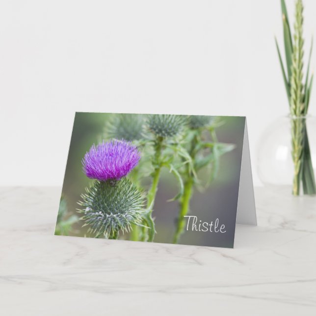 Tarjeta de felicitación Thistle (Anverso)