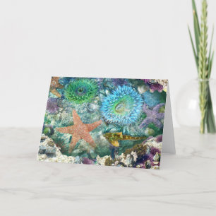 Tarjeta de felicitación Tidepool Reflections