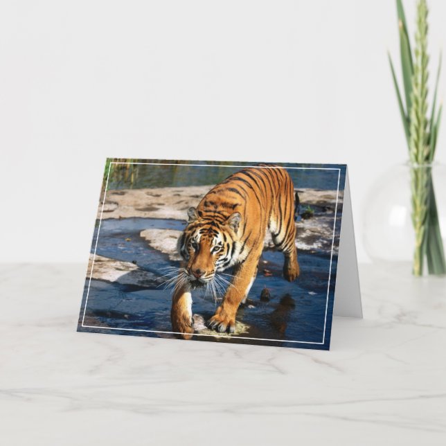 Tarjeta de felicitación Tiger (Anverso)