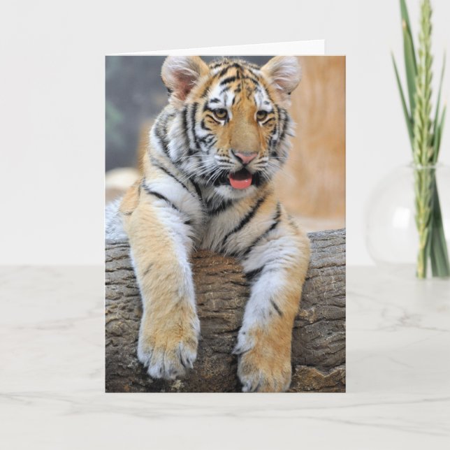 Tarjeta de felicitación Tiger Cub (Anverso)