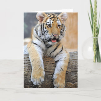 Tarjeta de felicitación Tiger Cub