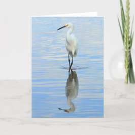 Tarjeta de felicitación - torneado del egret