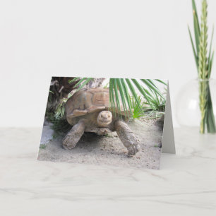 Tarjeta de felicitación Tortoise
