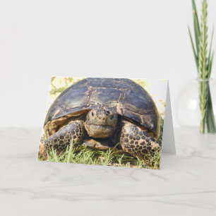 Tarjeta de felicitación Tortoise