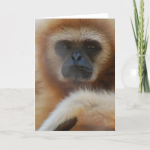 Tarjeta de felicitación triste del Gibbon