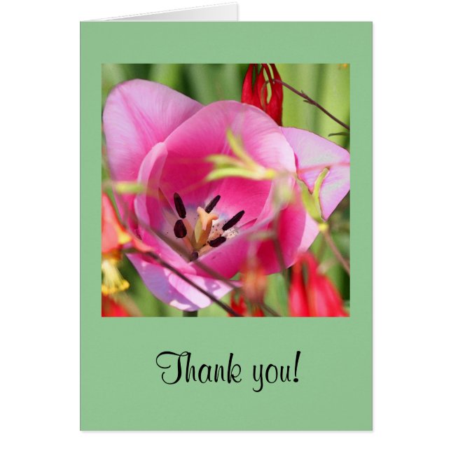 Tarjeta de felicitación Tulip (Frente)