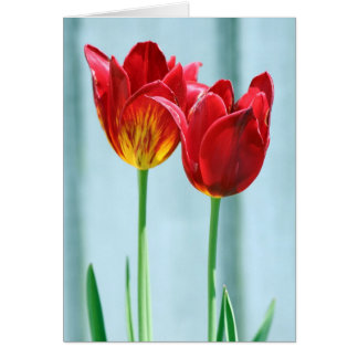 Tarjeta de felicitación Tulip
