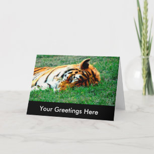 Tarjeta de felicitación vacía de tigre acostado