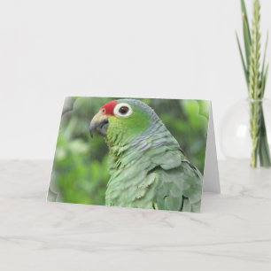 Tarjeta de felicitación verde del loro
