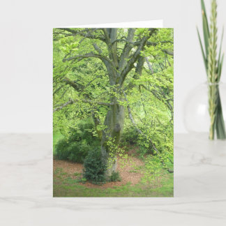 Tarjeta de felicitación verde grande del árbol