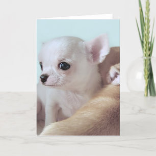 Tarjeta de felicitación vieja de 4 de la semana