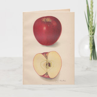 Tarjeta de felicitación Vintage Apples