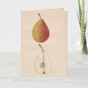 Tarjeta de felicitación Vintage Pears