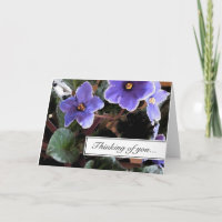 Tarjeta de felicitación Violeta Africana Pensando 