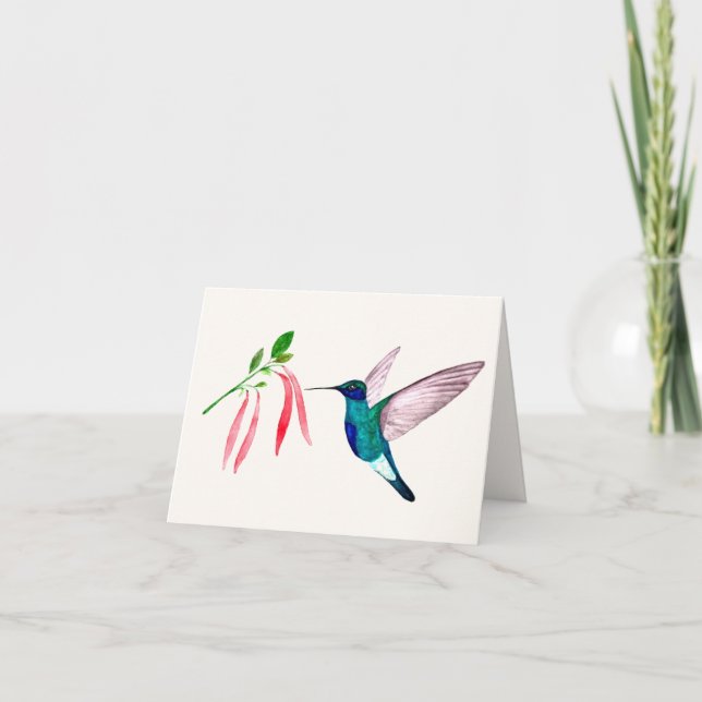 Tarjeta de felicitación Violetear Hummingbird (Anverso)