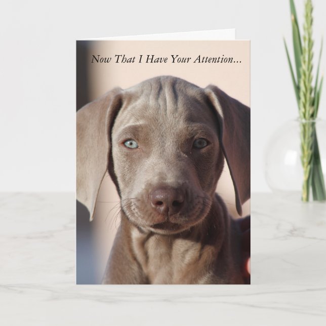Tarjeta de felicitación Weimaraner "Eres el mejor" (Anverso)