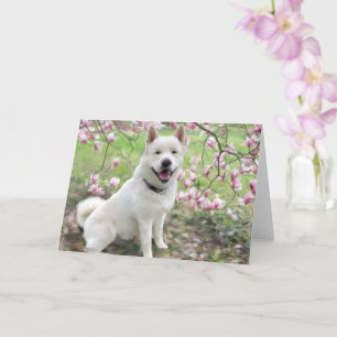 Tarjeta de felicitación - White Akita