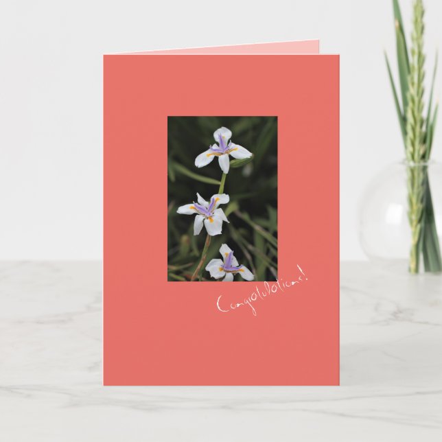 Tarjeta de Felicitación Wild Iris (Anverso)