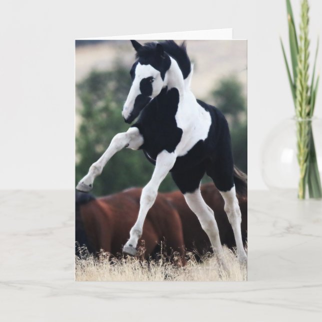 Tarjeta de felicitación Wild Mustang Filly "Hopi" (Anverso)