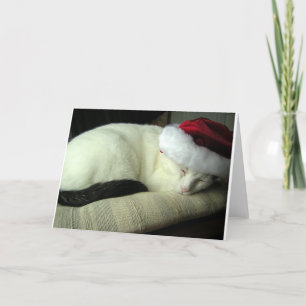 Tarjeta de felicitación WiLSoN SOLSTiCE