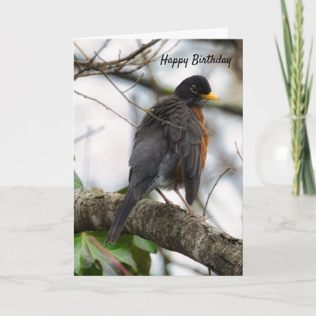 Tarjeta de felicitación Wings American Robin Birth (Anverso)