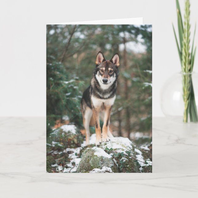 Tarjeta de felicitación Wolfdog (Anverso)