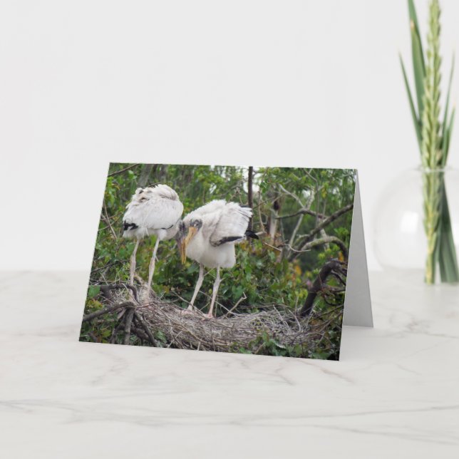 Tarjeta de felicitación Wood Stork (Anverso)