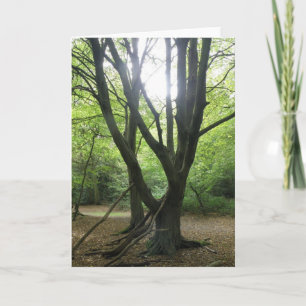 Tarjeta de felicitación Woodland Sunshine