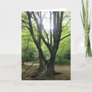 Tarjeta de felicitación Woodland Sunshine