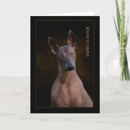 Tarjeta de felicitación Xoloitzcuintli