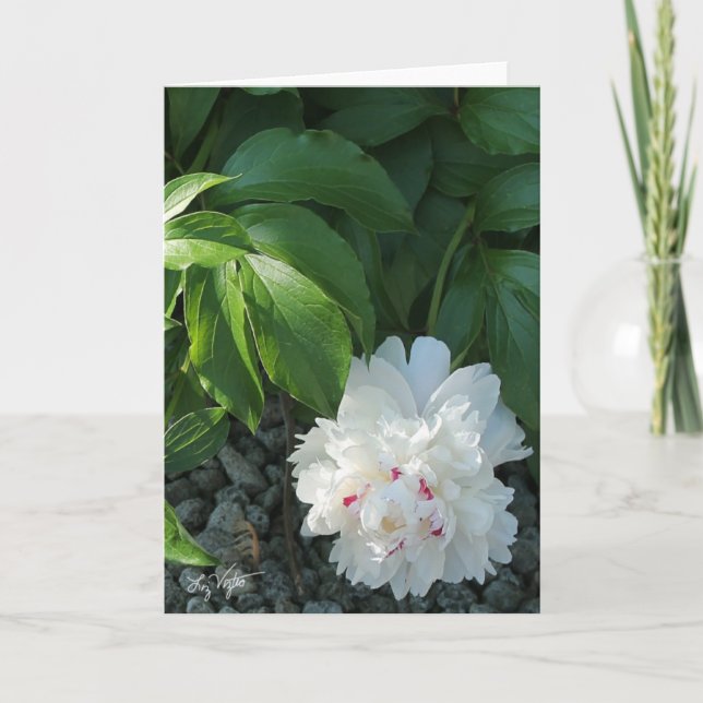 Tarjeta de felicitación y/o nota de Precious Peony (Anverso)