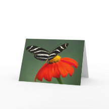 Tarjeta de felicitación Zebra Longwing Butterfly B
