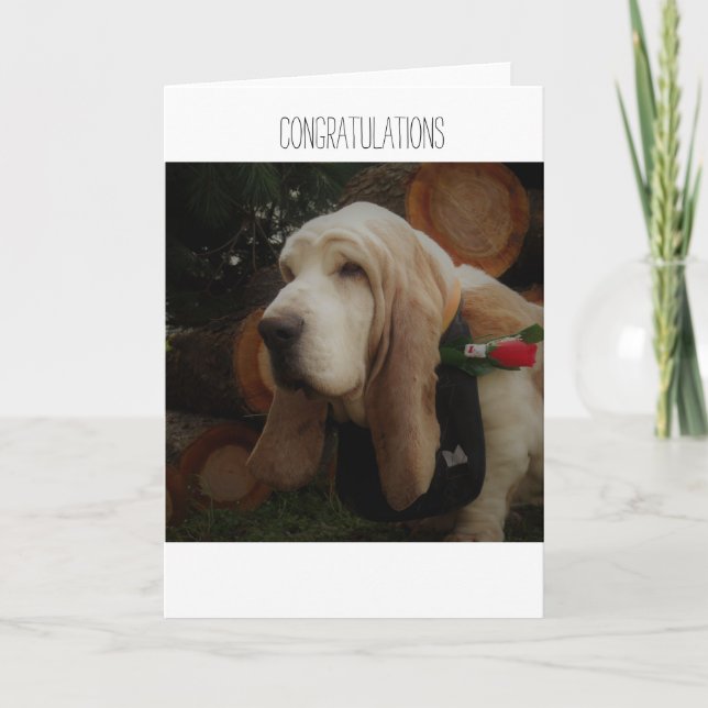 Tarjeta de felicitaciones (Anverso)