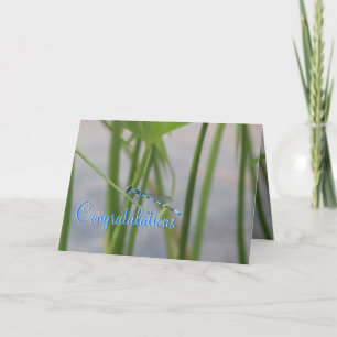 Tarjeta de felicitaciones a la libélula