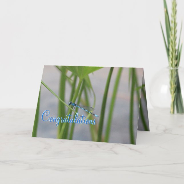 Tarjeta de felicitaciones a la libélula (Anverso)