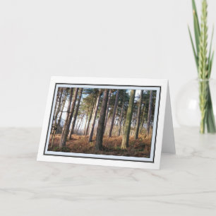 Tarjeta de felicitaciones a los bosques de Delamer