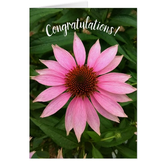 Tarjeta de felicitaciones a los lugareños púrpura  (Frente)