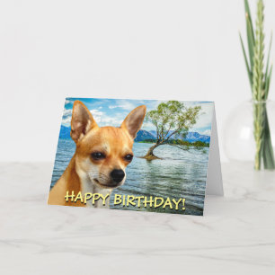 Tarjeta de felicitaciones adaptable de la